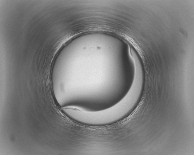 X0000115741089200912031422