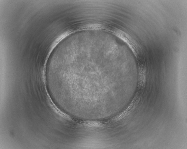 X0000115741090200912031422