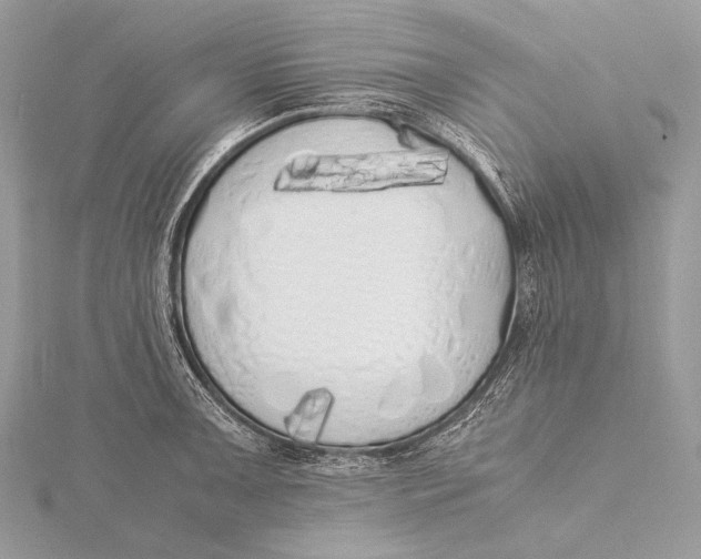 X0000115741091200912031422