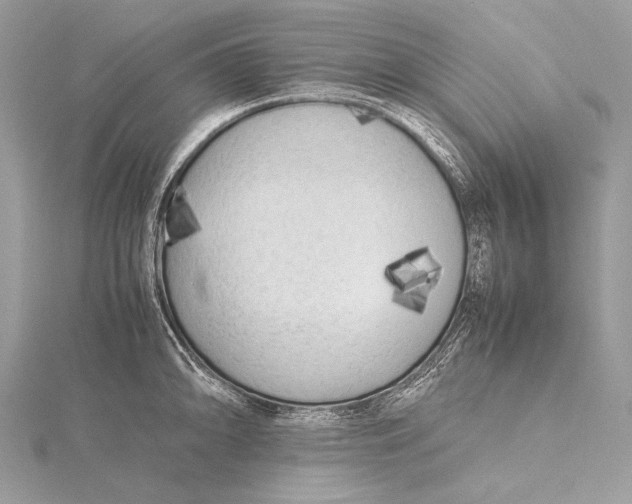 X0000115741094200912031422