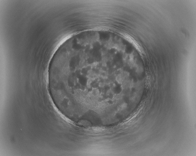 X0000115741095200912031422