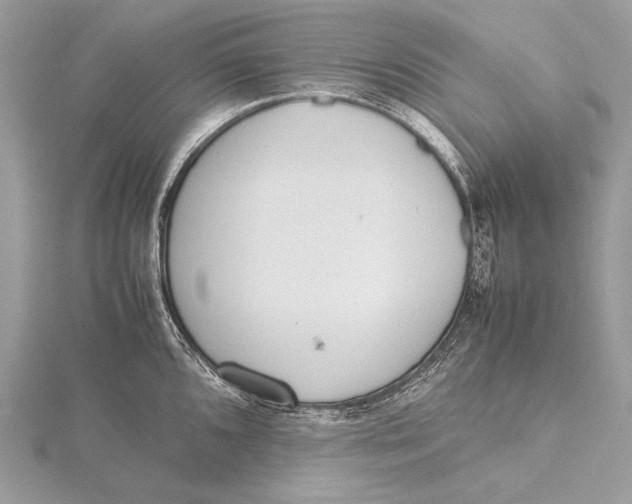 X0000115741096200912031422