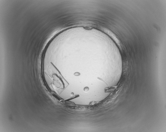 X0000115741099200912031422