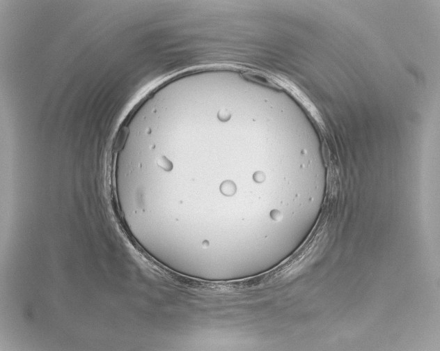 X0000115741101200912031422