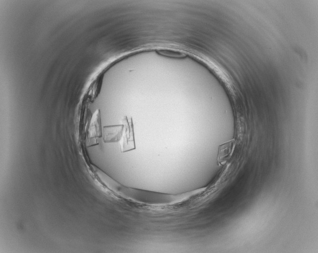 X0000115741102200912031422