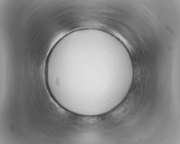 X0000115741103200912031422