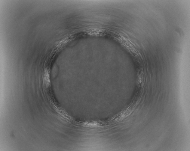 X0000115741106200912031421