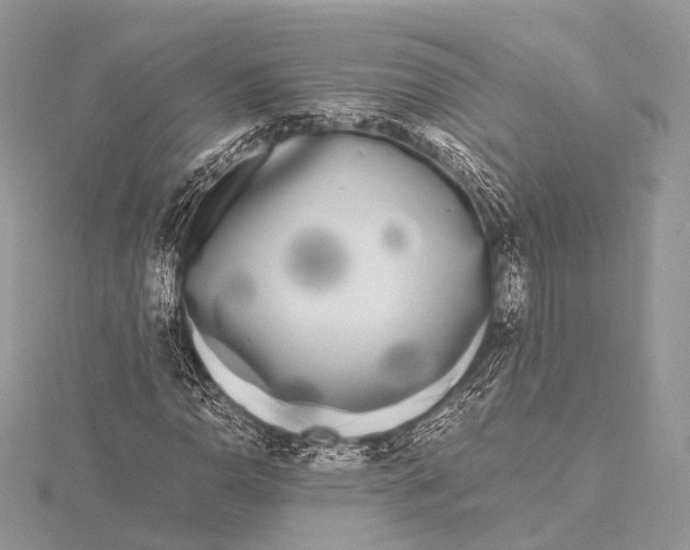 X0000115741110200912031421