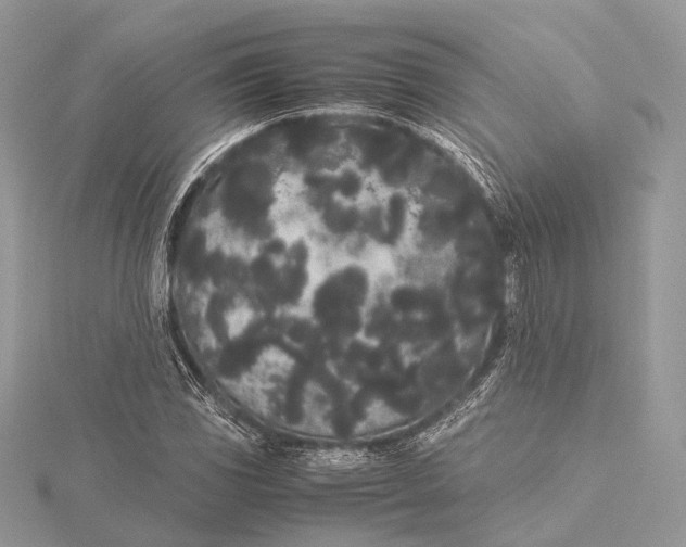 X0000115741117200912031421