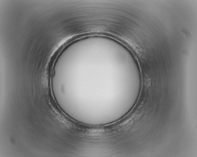 X0000115741118200912031421