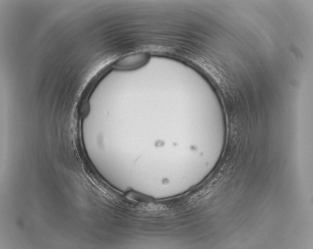 X0000115741119200912031421