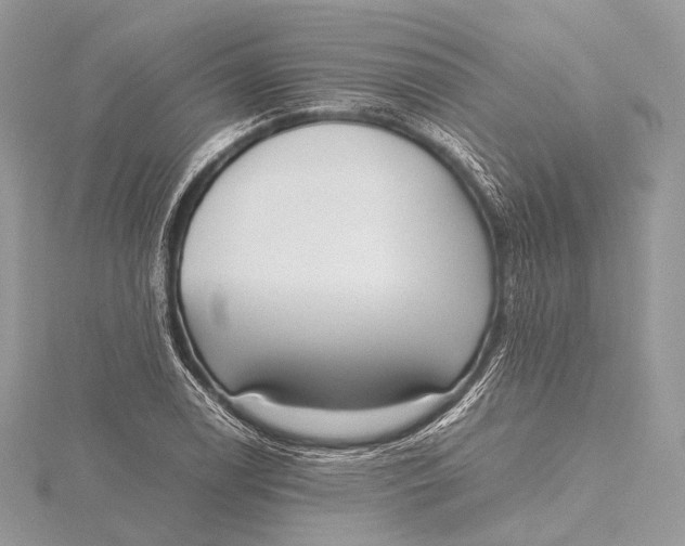 X0000115741122200912031421