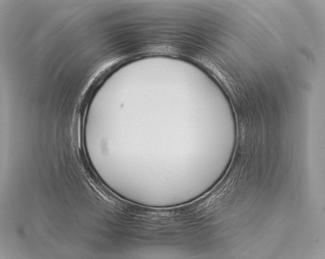 X0000115741123200912031421