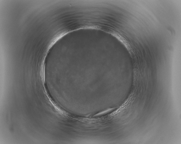 X0000115741127200912031422