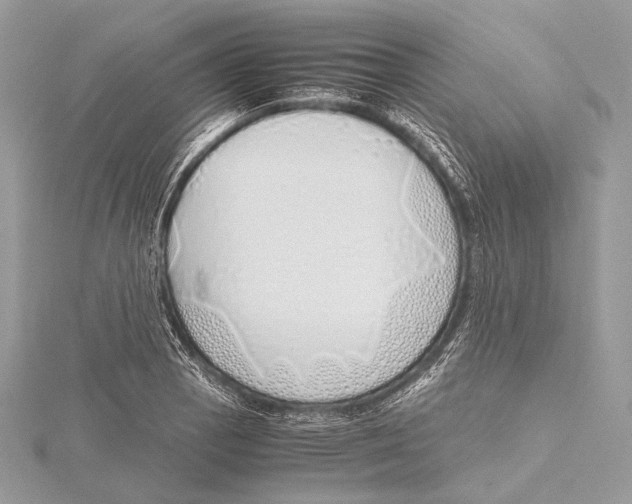 X0000115741129200912031422