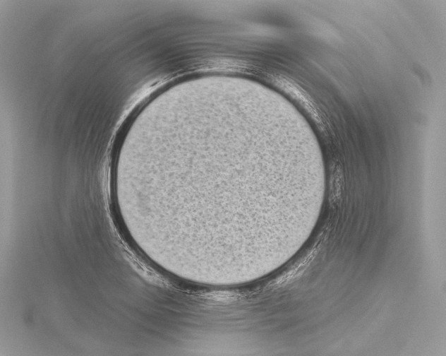 X0000115741130200912031422