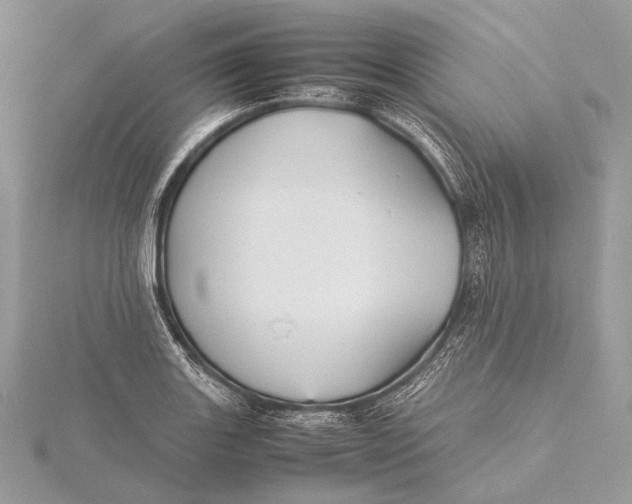 X0000115741131200912031422