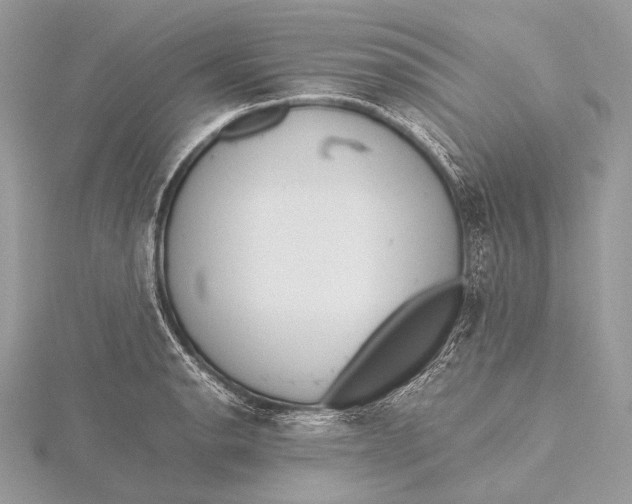 X0000115741134200912031422