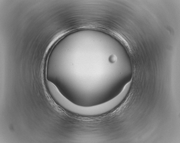 X0000115741138200912031422