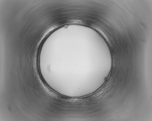 X0000115741139200912031422