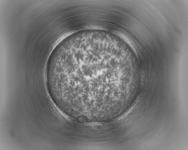 X0000115741141200912031422