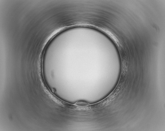 X0000115741142200912031422