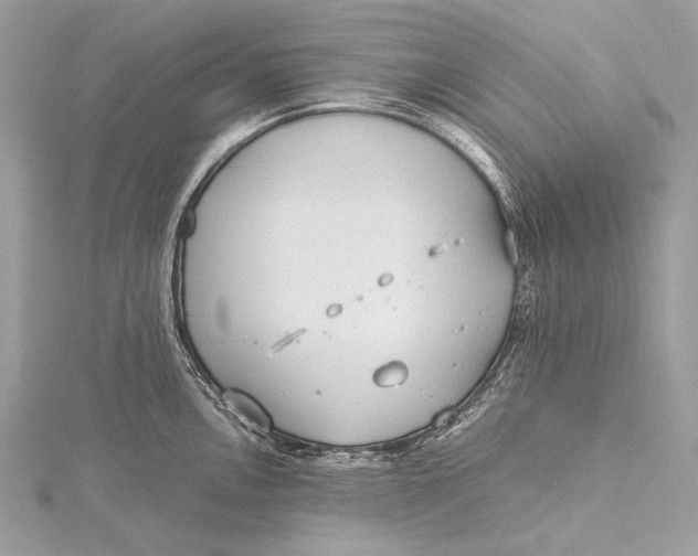 X0000115741146200912031422