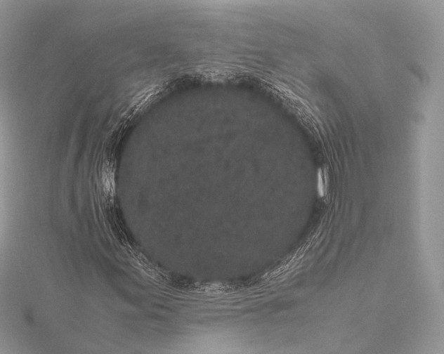 X0000115741155200912031421