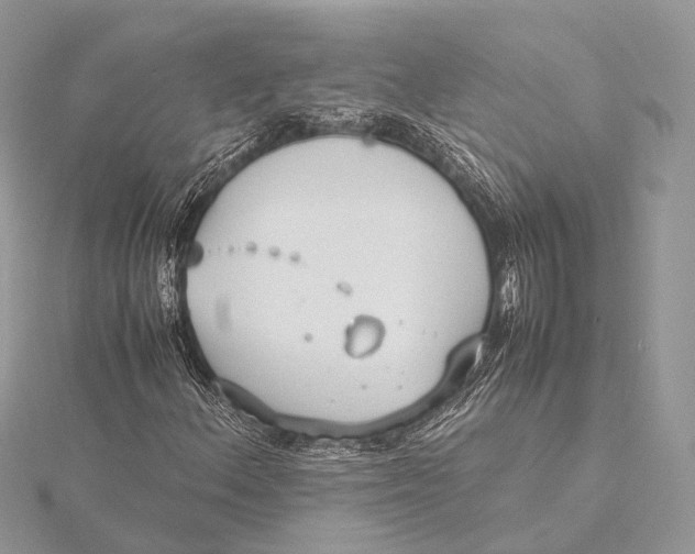 X0000115741156200912031421