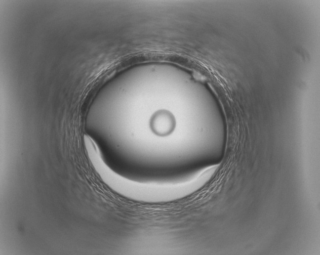 X0000115741157200912031421