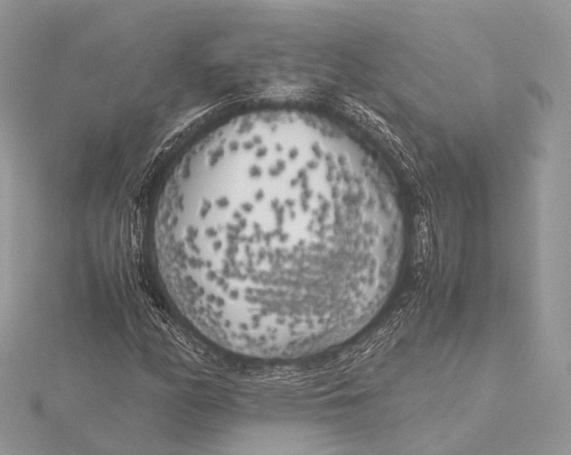 X0000115741158200912031421