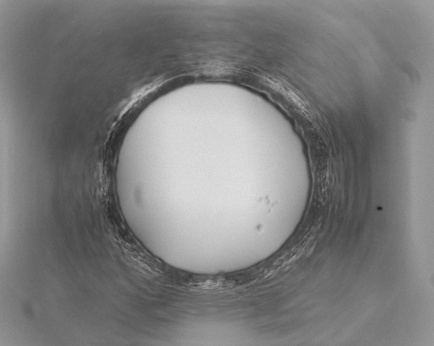 X0000115741160200912031421