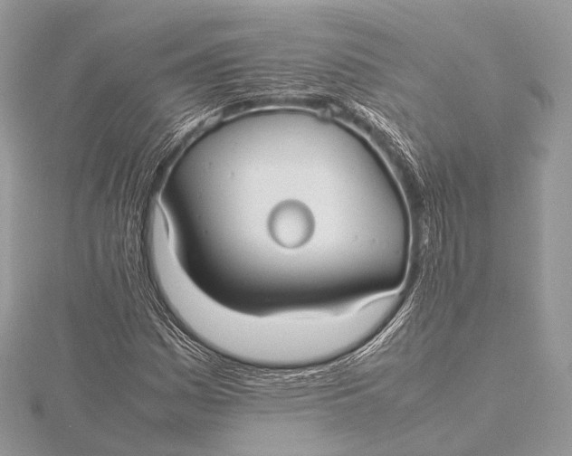 X0000115741161200912031421