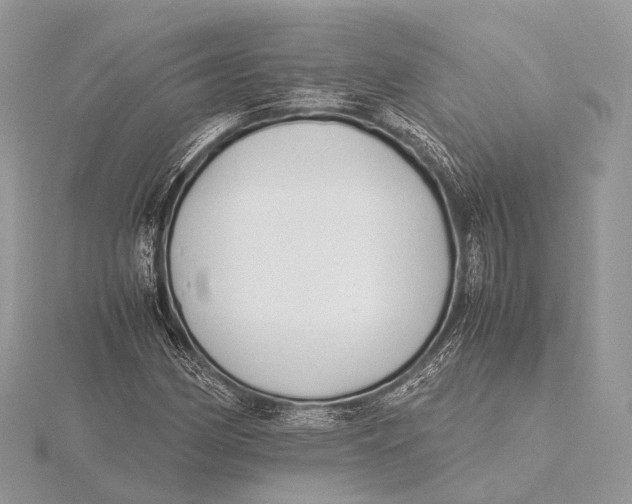 X0000115741162200912031421