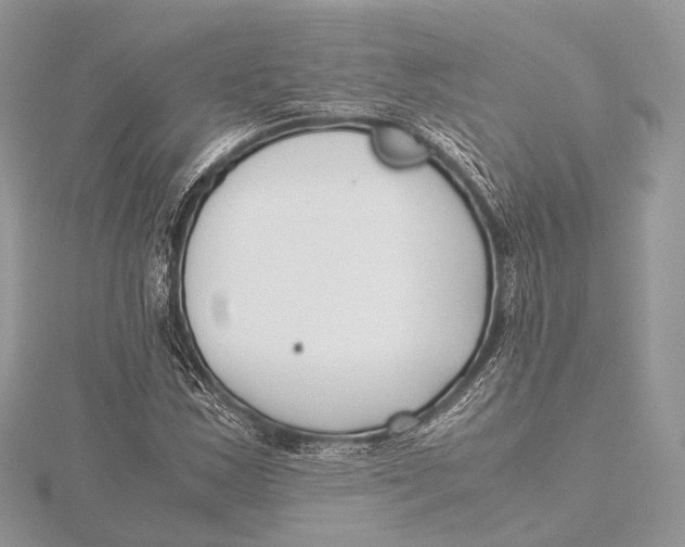 X0000115741163200912031421