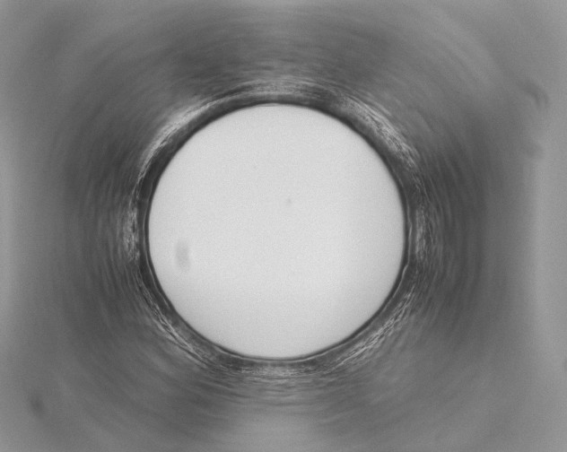 X0000115741164200912031421