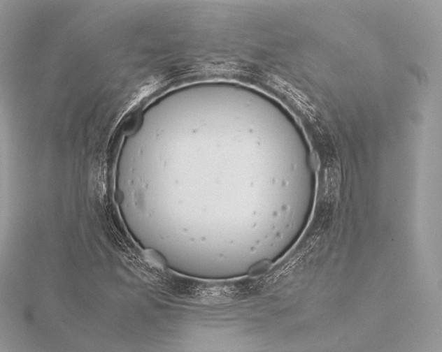 X0000115741165200912031421