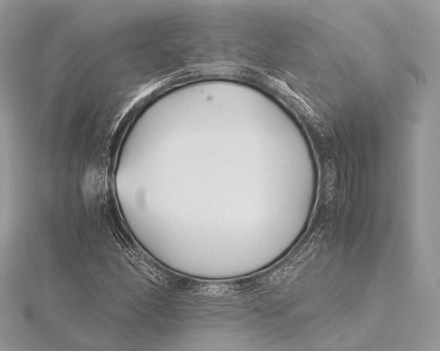 X0000115741166200912031421