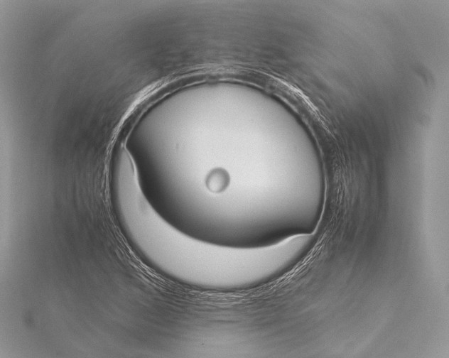 X0000115741168200912031421