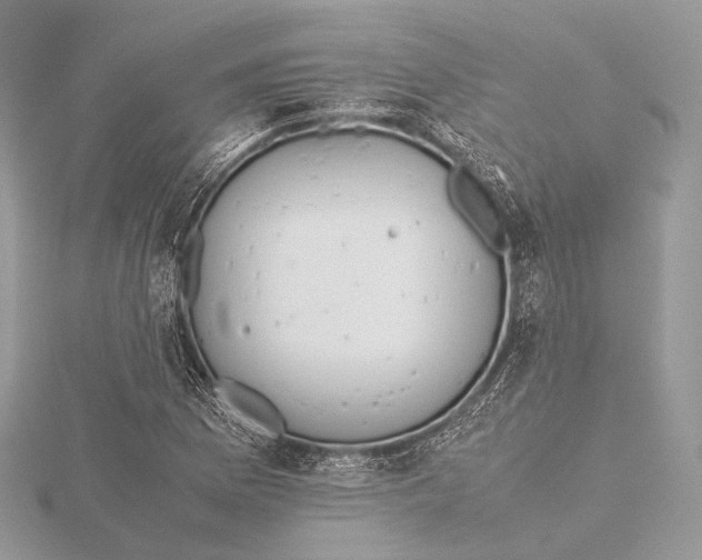 X0000115741169200912031421