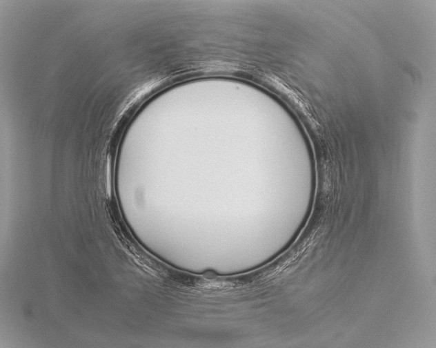 X0000115741171200912031421