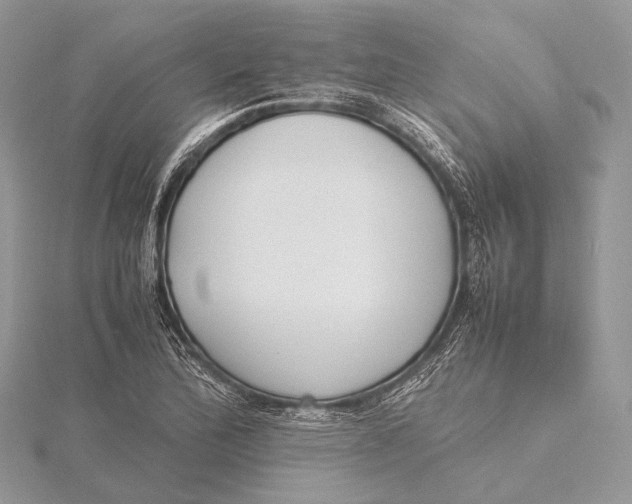 X0000115741172200912031421