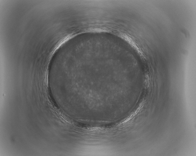 X0000115741173200912031421