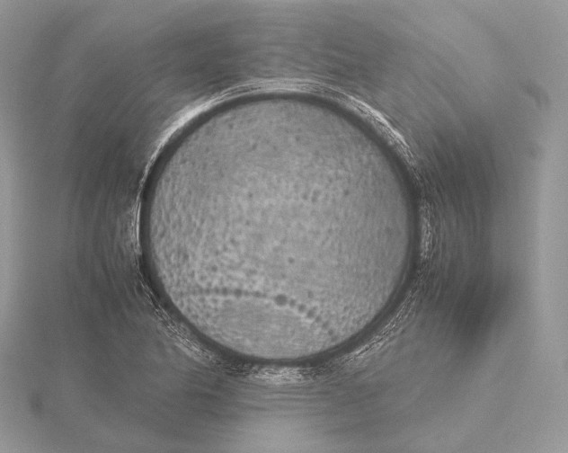 X0000115741174200912031421