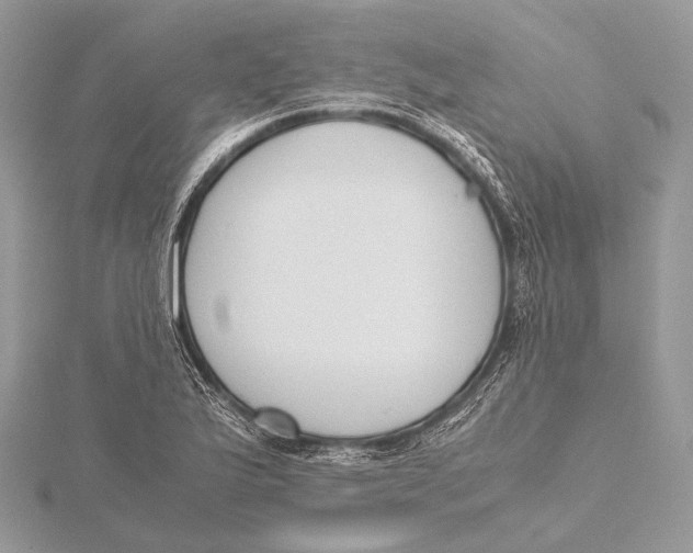 X0000115741175200912031421