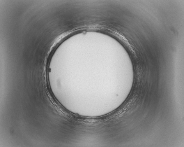 X0000115741176200912031421