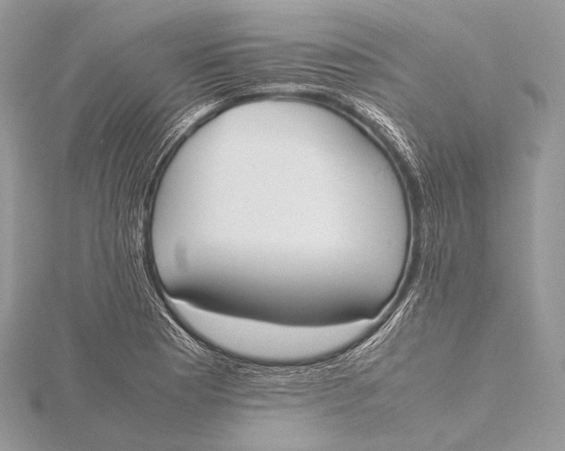 X0000115741177200912031421