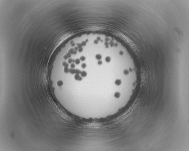 X0000115741178200912031421