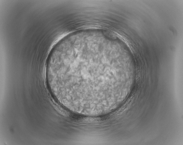 X0000115741179200912031421