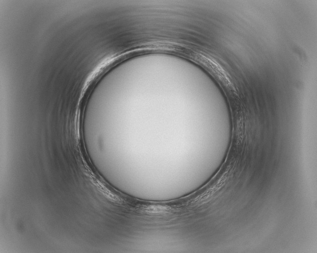 X0000115741180200912031421